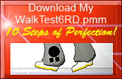 Download my animation WalkTest6RD.pmm