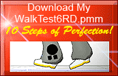 Download my walking motion file WalkTest6RD.pmm