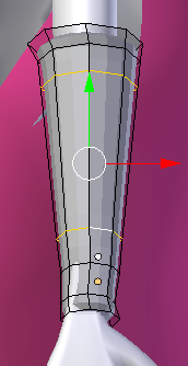 Loop Cuts added to where the panel will go