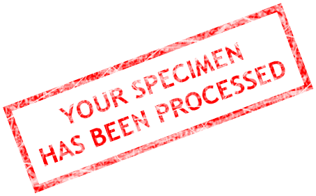 Your specimen has been processed