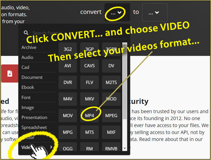 Simply choose your original video's file format...