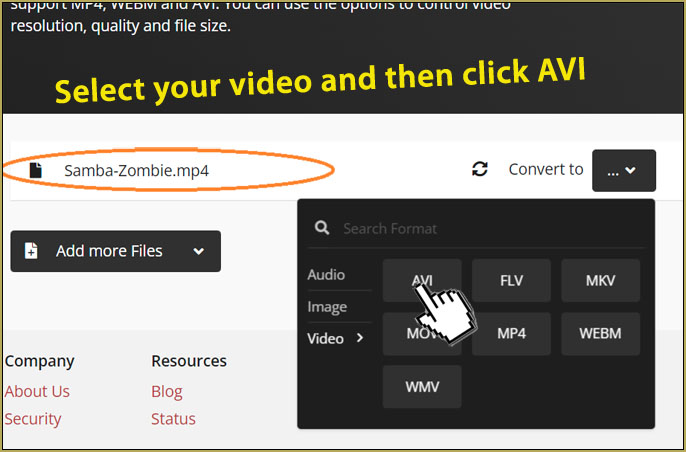 Select the video that you wish to use for your background AVI files.
